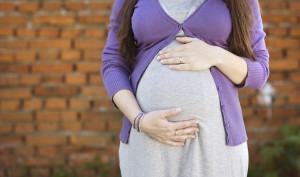 Services-Pregnancy Help