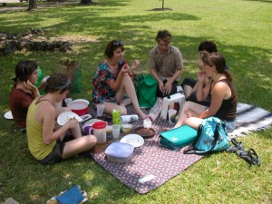 group picnic